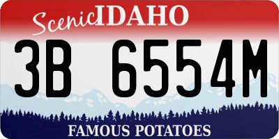 ID license plate 3B6554M