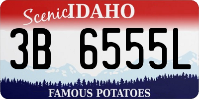 ID license plate 3B6555L