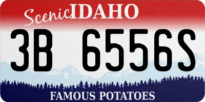 ID license plate 3B6556S
