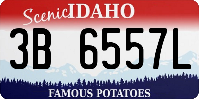 ID license plate 3B6557L