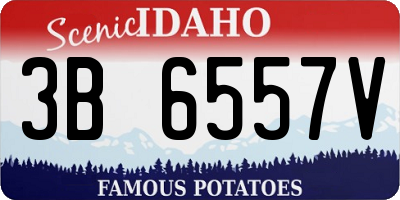 ID license plate 3B6557V