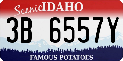 ID license plate 3B6557Y