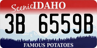 ID license plate 3B6559B