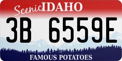 ID license plate 3B6559E