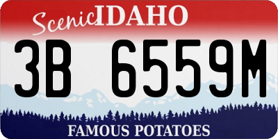 ID license plate 3B6559M