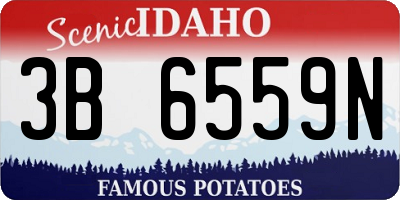 ID license plate 3B6559N