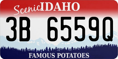 ID license plate 3B6559Q
