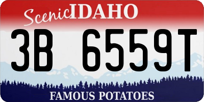 ID license plate 3B6559T