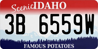 ID license plate 3B6559W