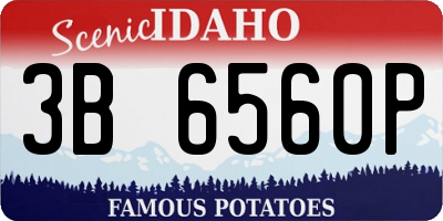 ID license plate 3B6560P