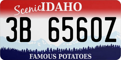 ID license plate 3B6560Z