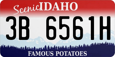 ID license plate 3B6561H
