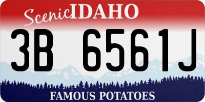 ID license plate 3B6561J