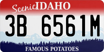 ID license plate 3B6561M