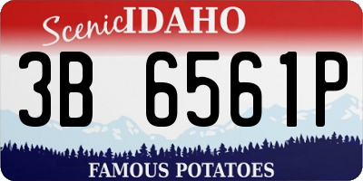 ID license plate 3B6561P
