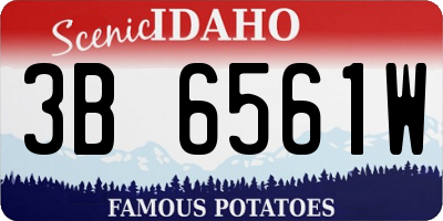 ID license plate 3B6561W
