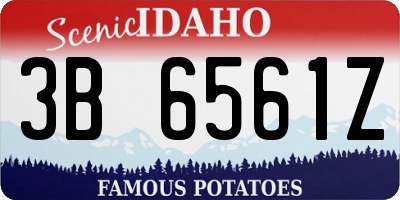 ID license plate 3B6561Z