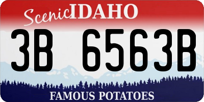 ID license plate 3B6563B