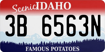ID license plate 3B6563N