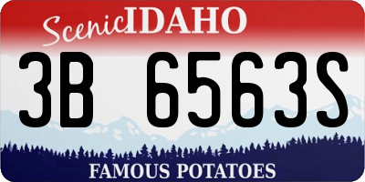 ID license plate 3B6563S