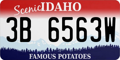 ID license plate 3B6563W