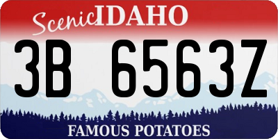 ID license plate 3B6563Z