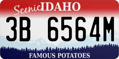 ID license plate 3B6564M