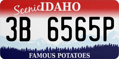 ID license plate 3B6565P
