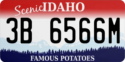 ID license plate 3B6566M
