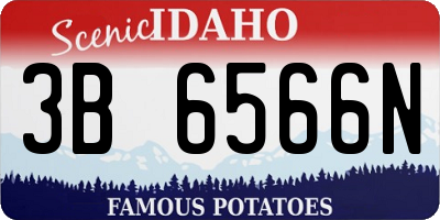 ID license plate 3B6566N