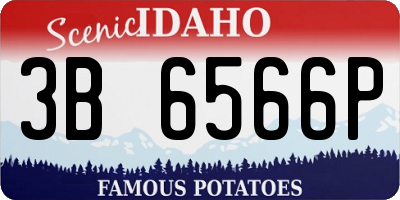 ID license plate 3B6566P