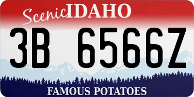 ID license plate 3B6566Z
