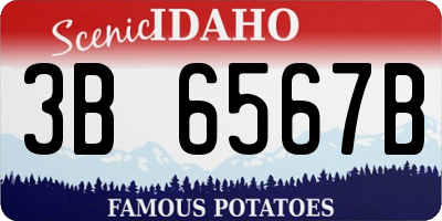 ID license plate 3B6567B