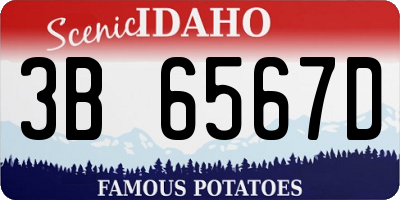 ID license plate 3B6567D