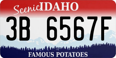 ID license plate 3B6567F