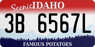 ID license plate 3B6567L
