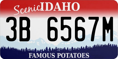 ID license plate 3B6567M
