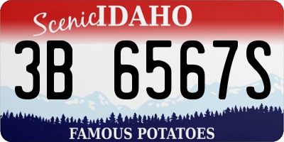 ID license plate 3B6567S