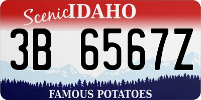 ID license plate 3B6567Z
