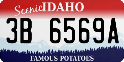 ID license plate 3B6569A