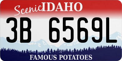 ID license plate 3B6569L