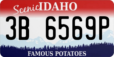 ID license plate 3B6569P