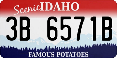 ID license plate 3B6571B
