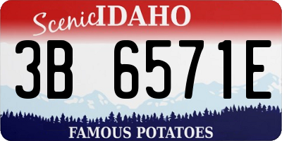 ID license plate 3B6571E