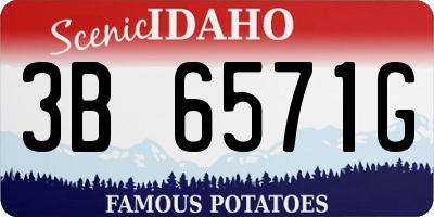 ID license plate 3B6571G