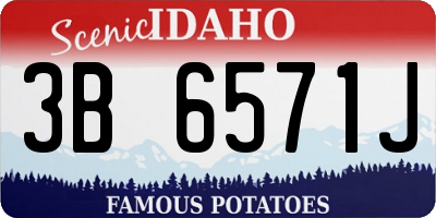 ID license plate 3B6571J