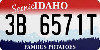 ID license plate 3B6571T