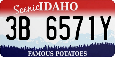 ID license plate 3B6571Y