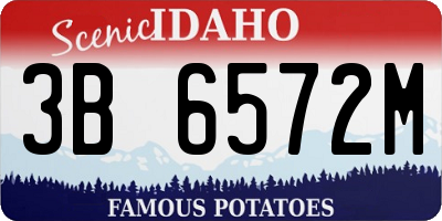 ID license plate 3B6572M