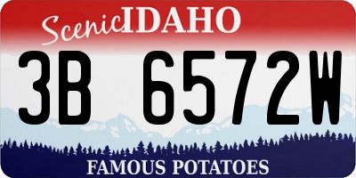 ID license plate 3B6572W